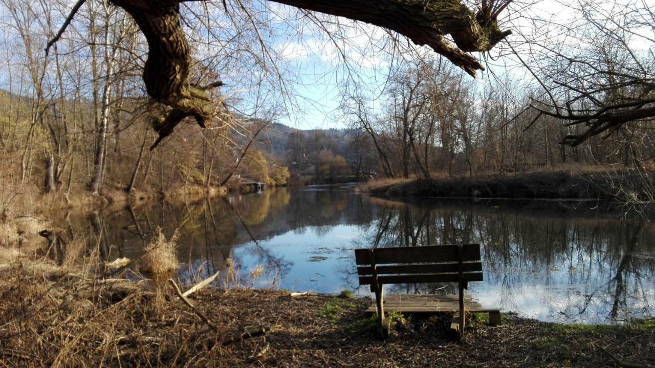 Tiny Guesthouse Kamptal Schönberg am Kamp Dış mekan fotoğraf
