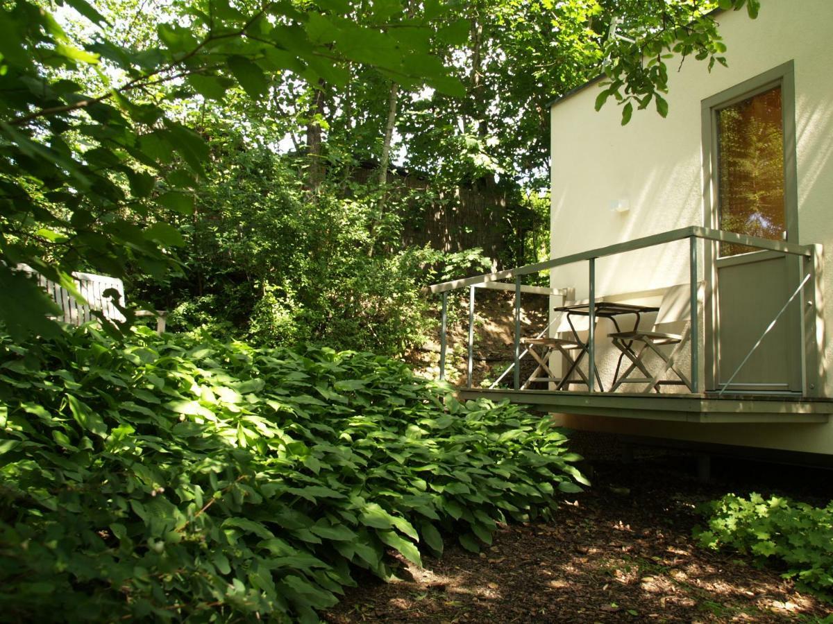Tiny Guesthouse Kamptal Schönberg am Kamp Dış mekan fotoğraf